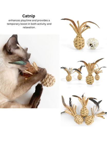 Ananas tressé à l'herbe à chat