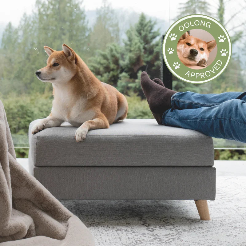 otto pet ottoman