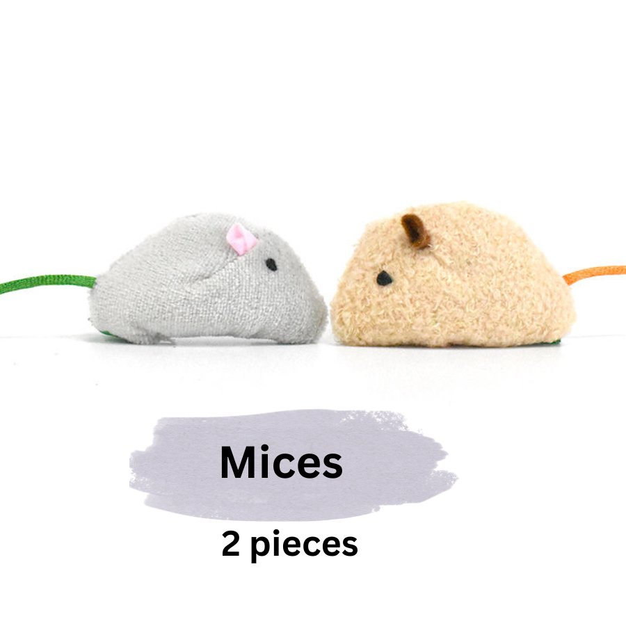 Jouets pour petits animaux à base d'herbe à chat/vigne argentée