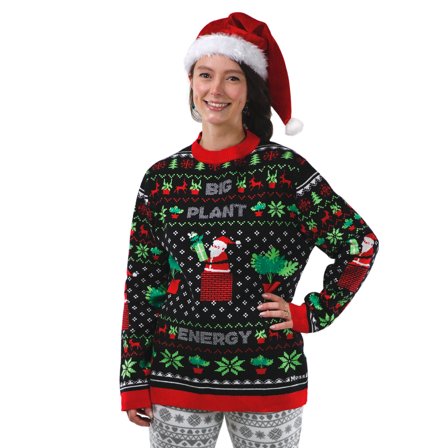L'ÉNERGIE DES GRANDES PLANTES - Le pull de Noël moche