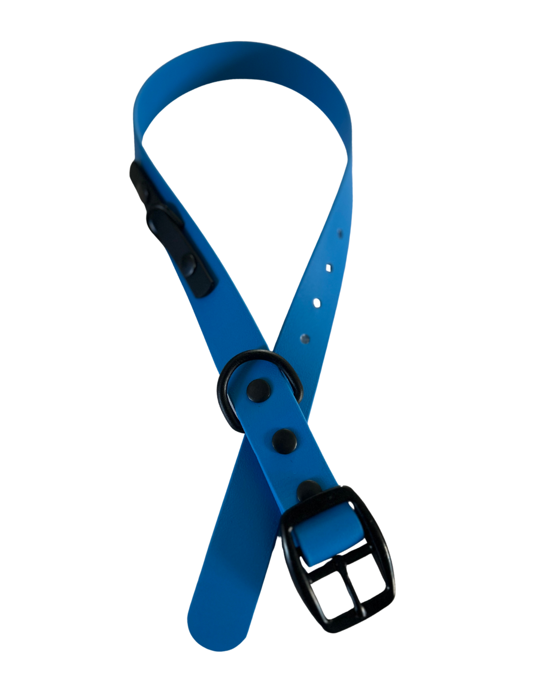 Biothane dog collar - Handmade in Quebec
