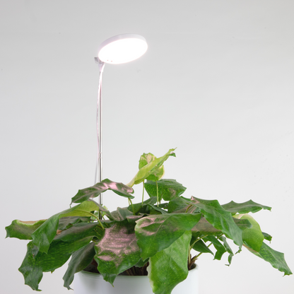 Lampe horticole LED réglable de 28 pouces