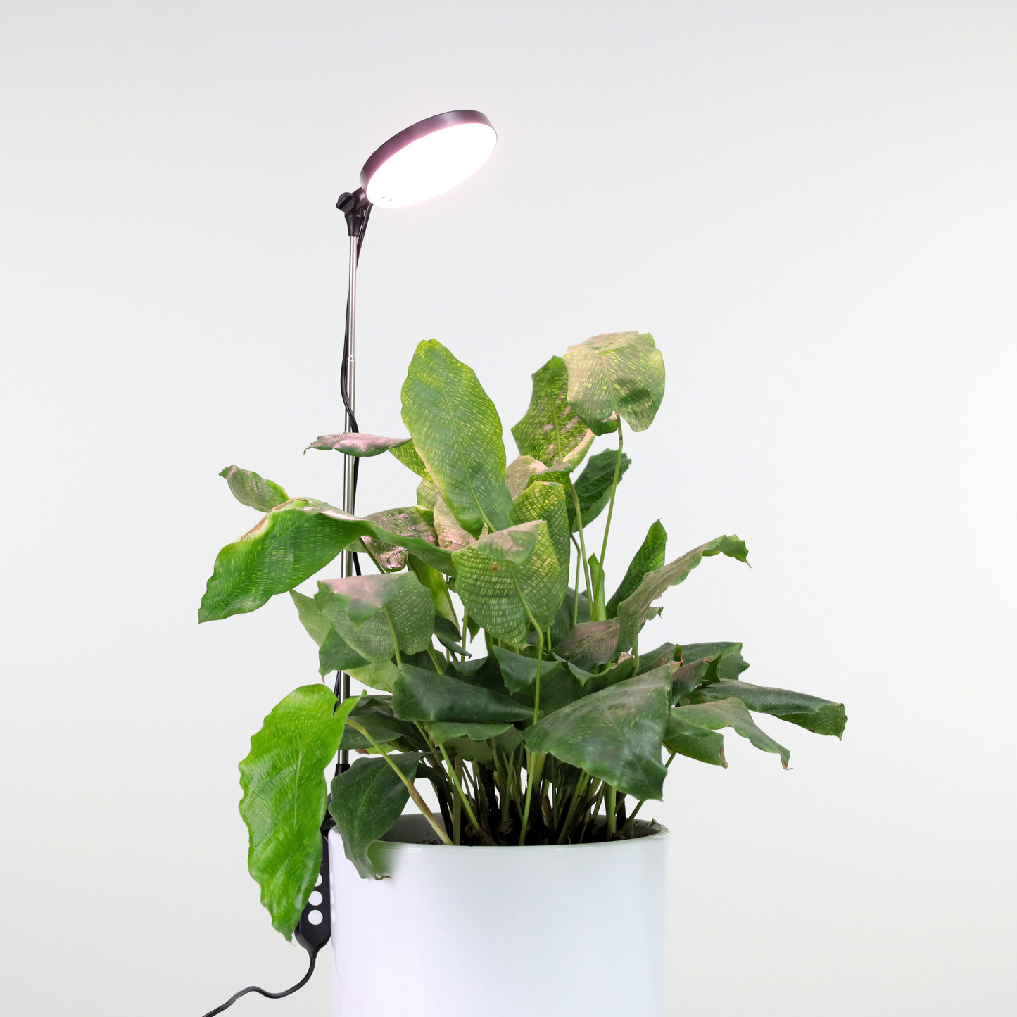 Lampe horticole LED réglable de 28 pouces