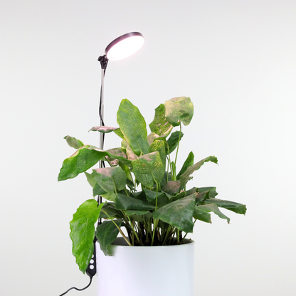 Lampe horticole LED réglable de 28 pouces
