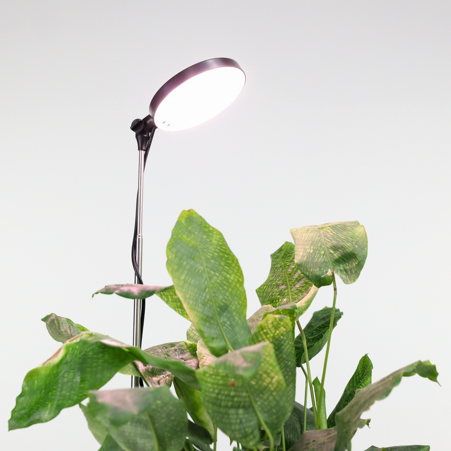 Lampe horticole LED réglable de 28 pouces