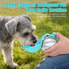 Bouteille d'eau portable pour chien 280 ml, distributeur d'eau de voyage en acier inoxydable avec gamelle, gourde anti-déversement pour chiot, pour la marche, la randonnée, petite bouteille d'eau pour chien