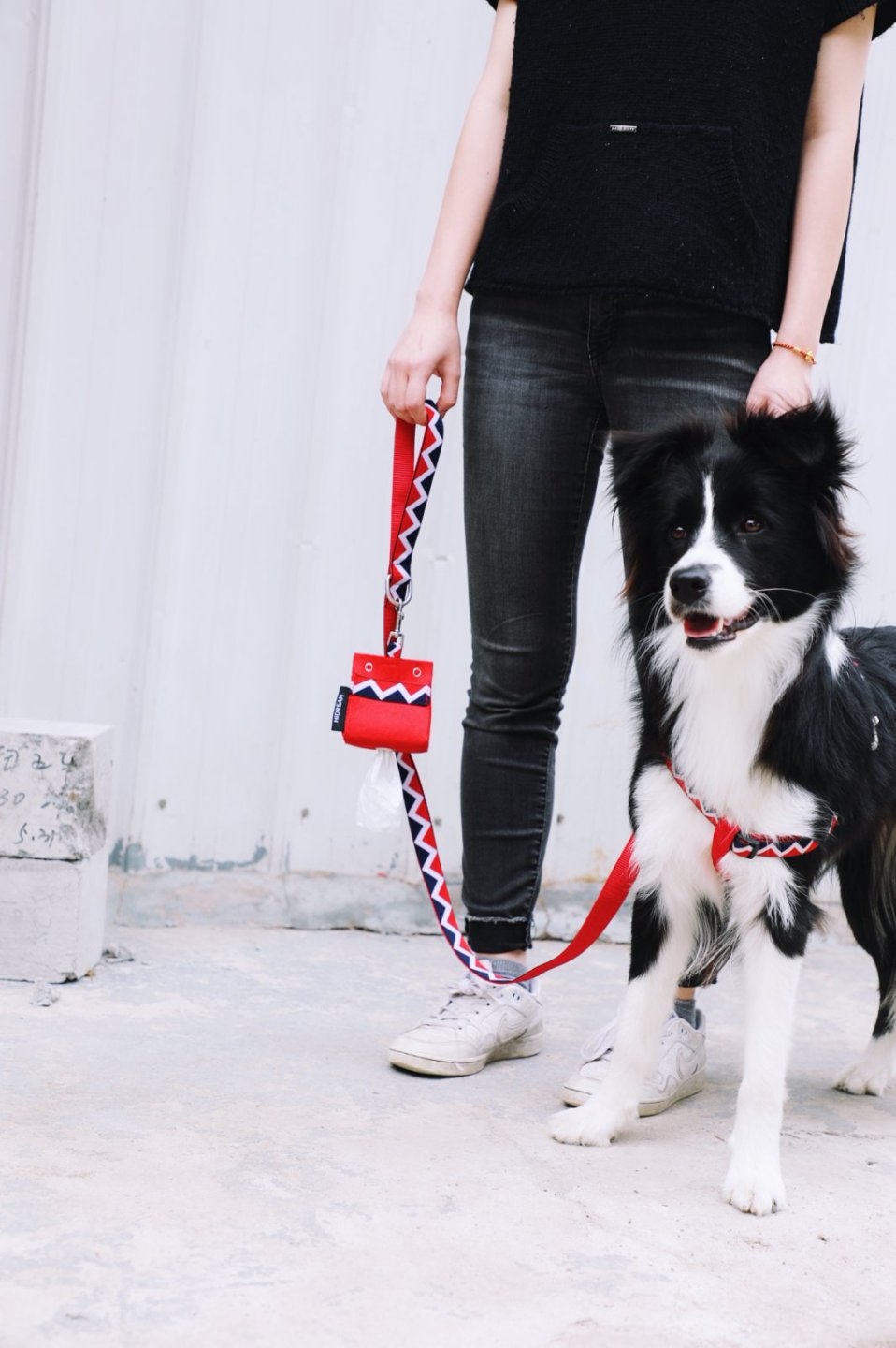 Momopets™ Série Arc-en-ciel – Distributeur de sacs à déjections canines en feutre