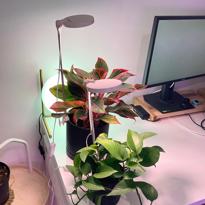 Lampe horticole LED réglable de 28 pouces
