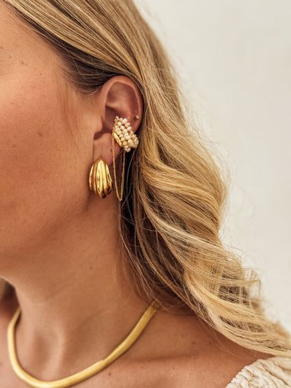 The Noel Hoops