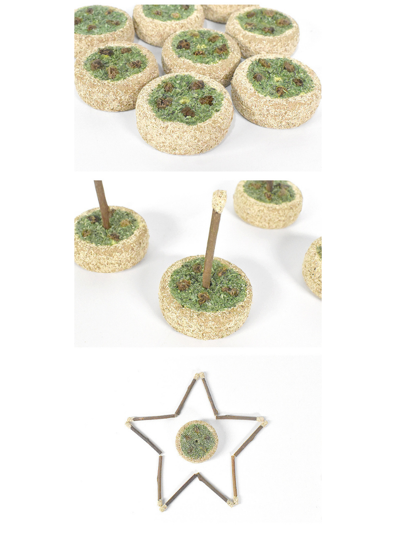 Gâteau d'anniversaire à l'actinidia