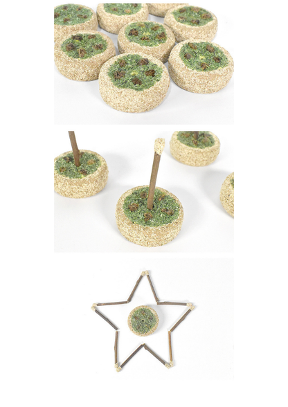 Gâteau d'anniversaire à l'actinidia