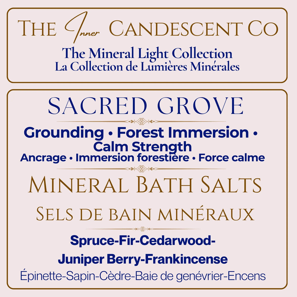 SACRED FOREST SANCTUARY BUNDLE | Forest Bath & Body Gift Set