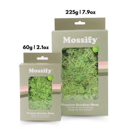 Mousse de renne stabilisée de qualité supérieure