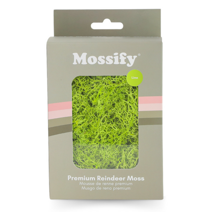 Mousse de renne stabilisée de qualité supérieure