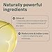 Attitude - Deodorant - Sandalwood (85g)