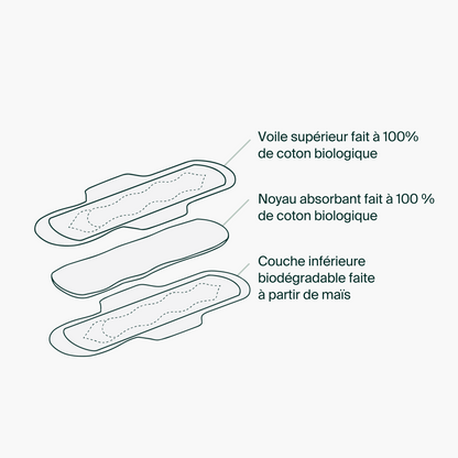 Sachets Individuels - Serviettes Régulières 100 % Coton Biologique