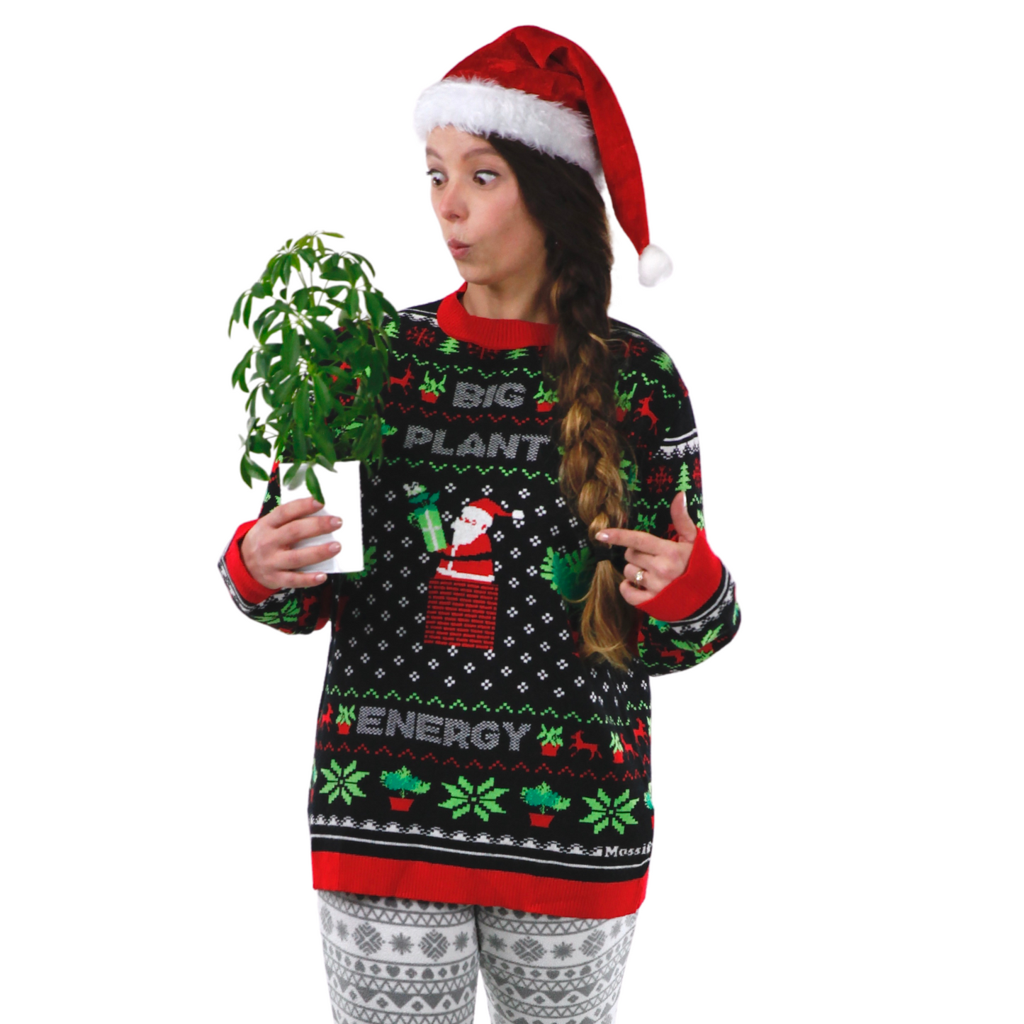 L'ÉNERGIE DES GRANDES PLANTES - Le pull de Noël moche