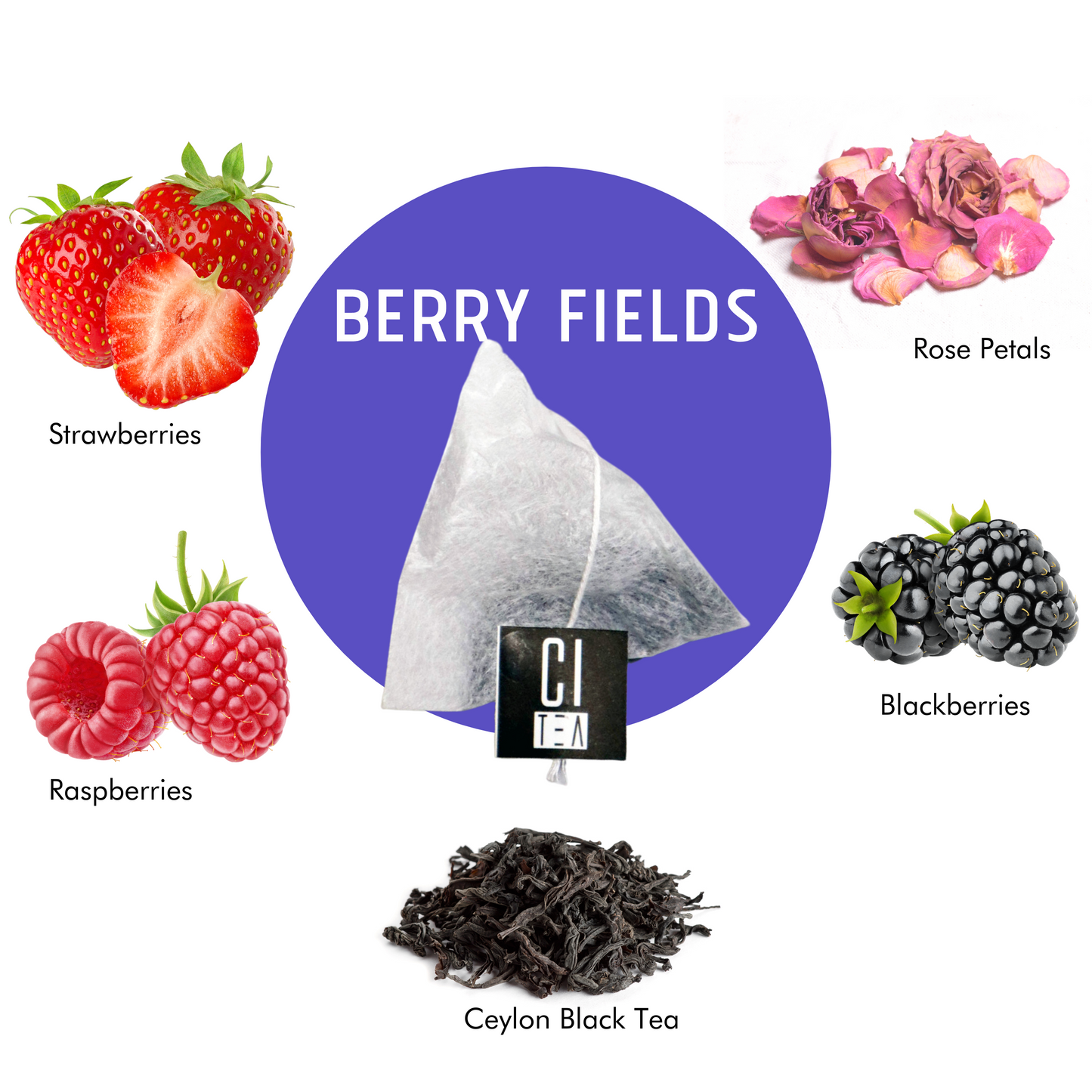 Berry Fields, Tisane en sachets pyramidaux Berry Tea