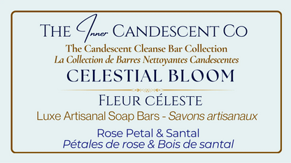 The Celestial Bloom Discovery Bundle