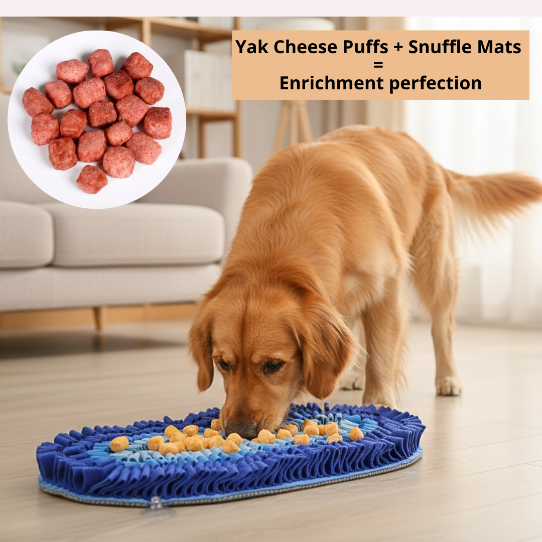 Yak Cheese Puffs for Dogs – Raspberry
