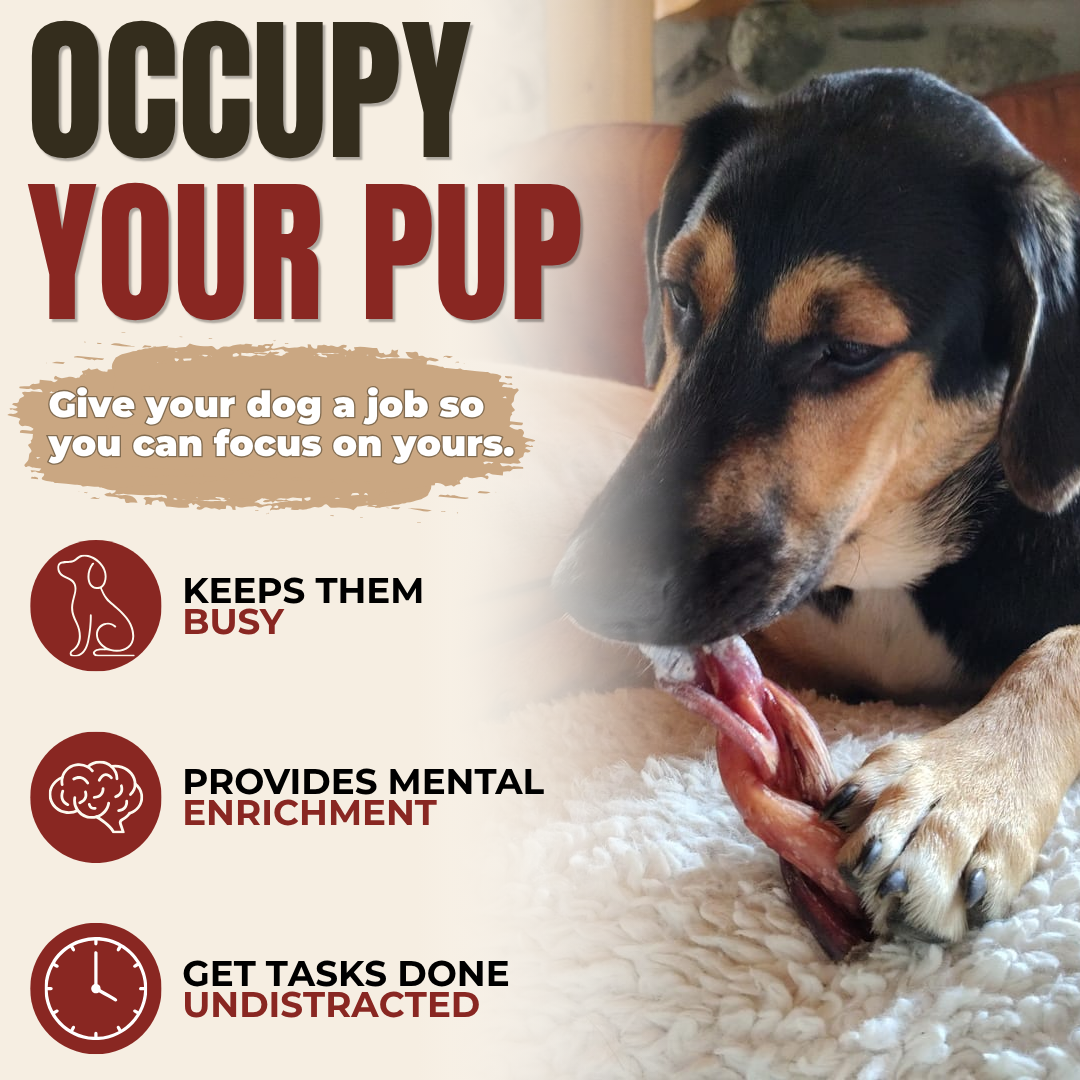 Bâton de taureau tressé Monster de 6 po