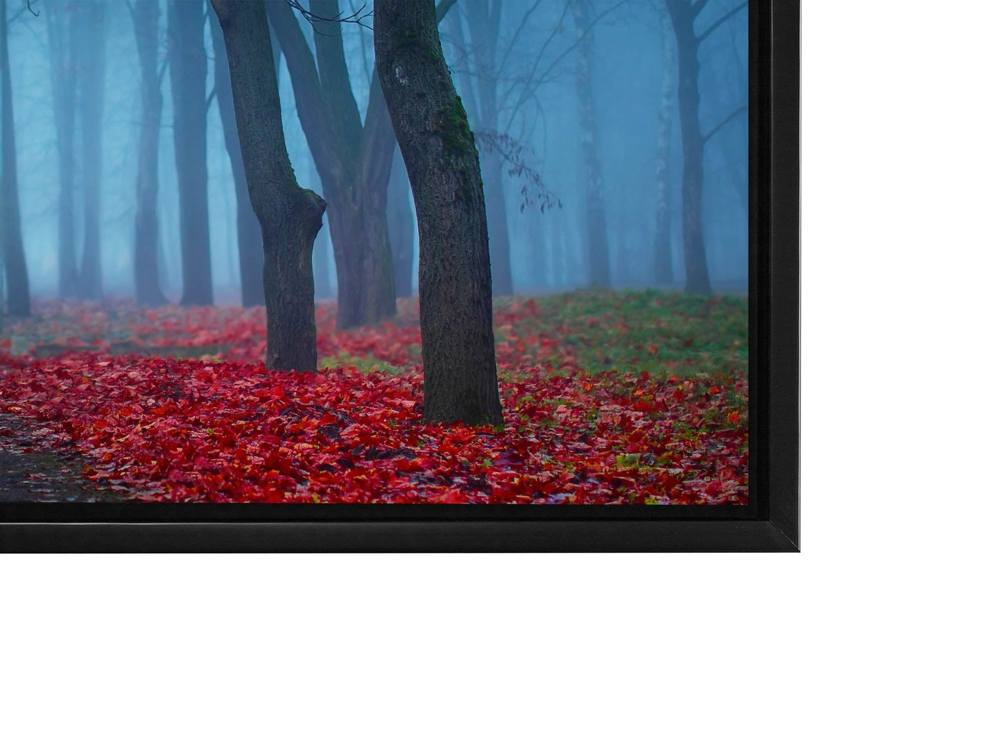 Impression sur toile - Arbres dans la brume bleue - Décoration murale