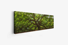 Tableau mural Ange Arbre Impression sur toile 183 x 61 cm