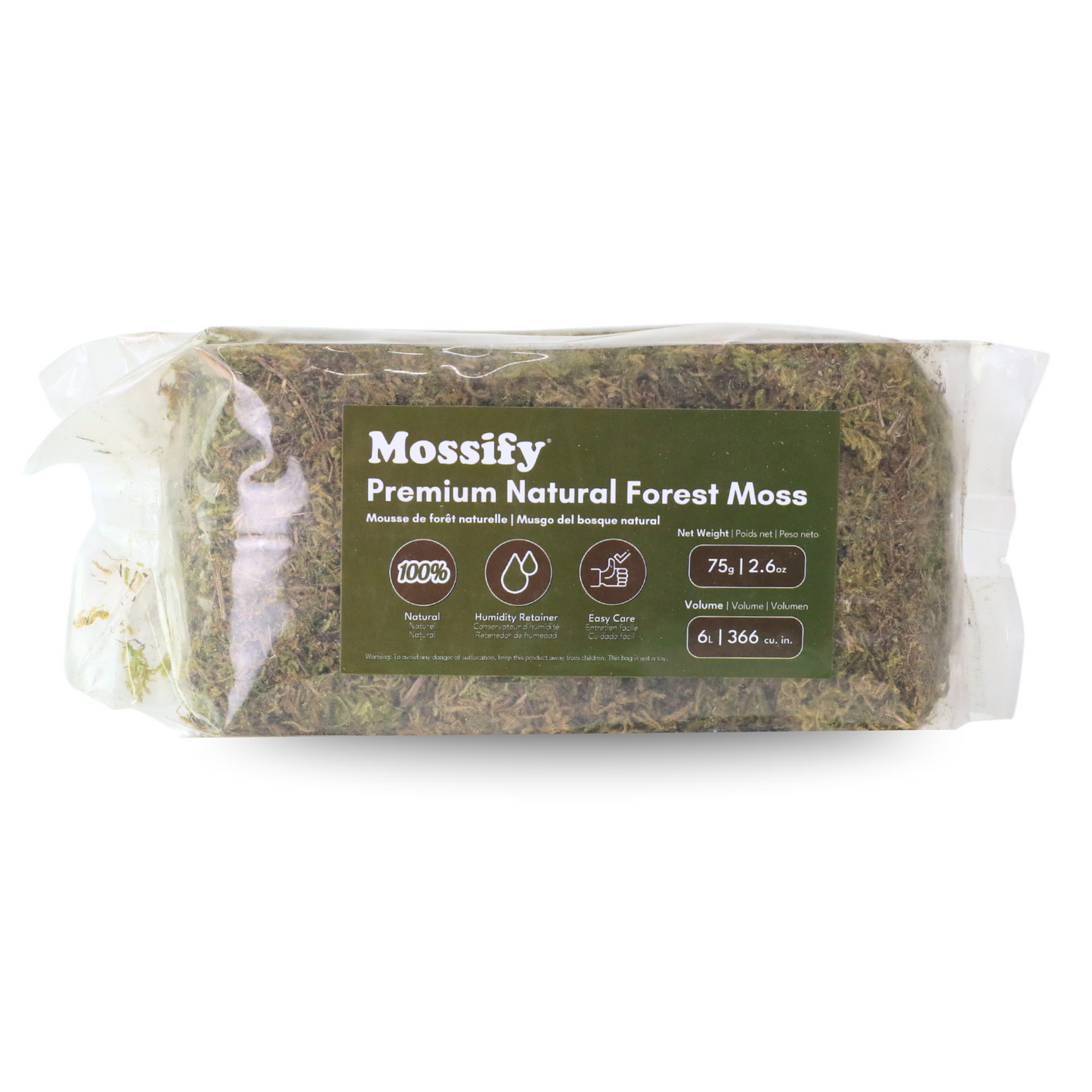 Mousse naturelle de forêt de première qualité