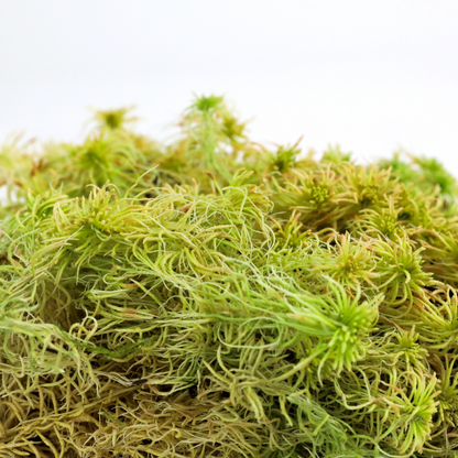 Mousse de sphaigne naturelle canadienne - Revita-Moss