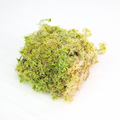 Mousse de sphaigne naturelle canadienne - Revita-Moss