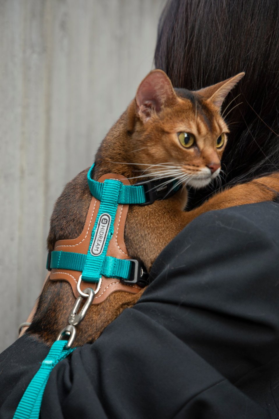 Momopets™ BOBO Series – Harnais en H en Cuir de Qualité Supérieure pour Chat