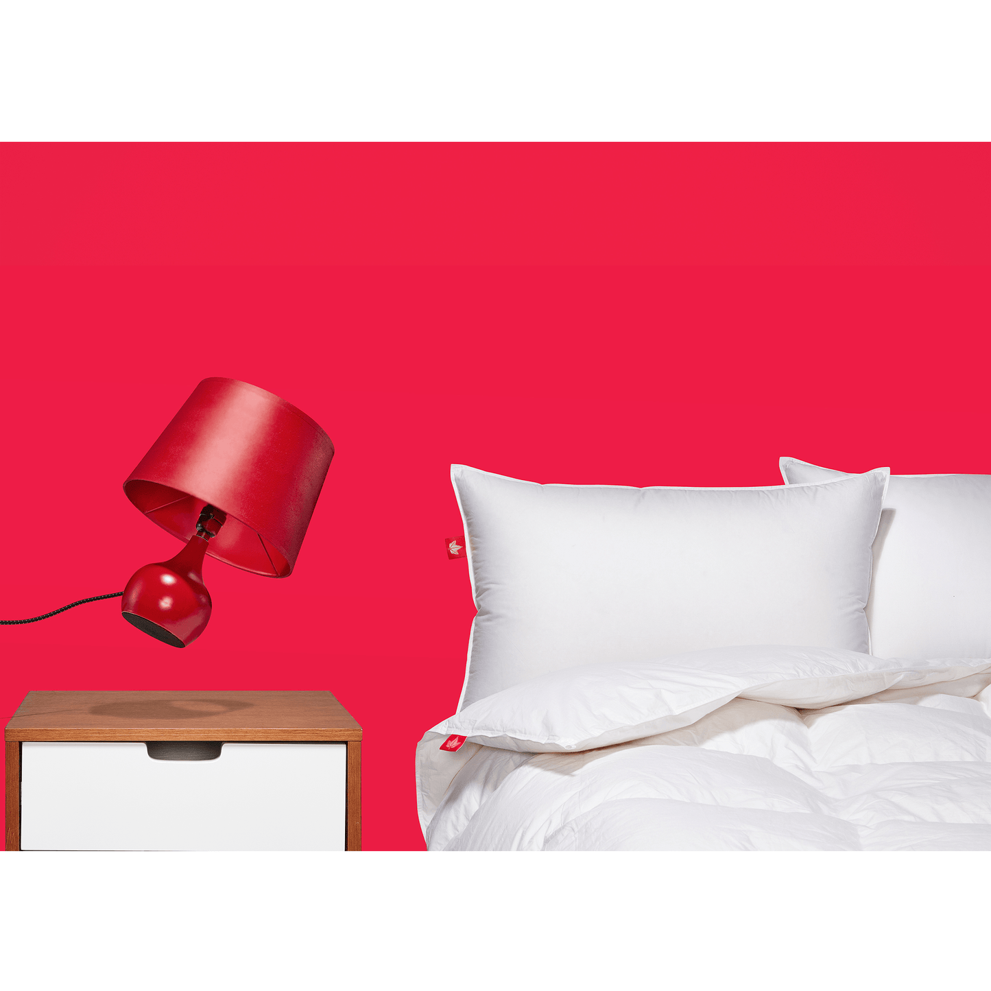 Couette en duvet d'oie Hutterite 850 Loft