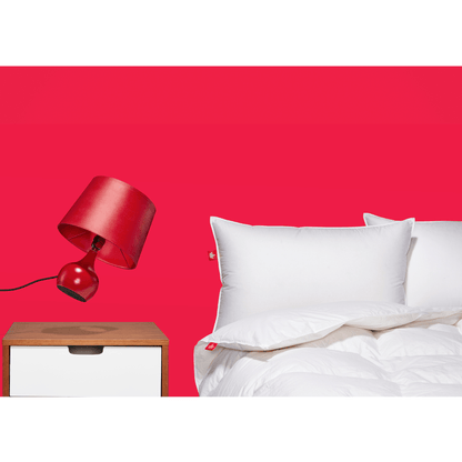 Couette en duvet d'oie Hutterite 850 Loft