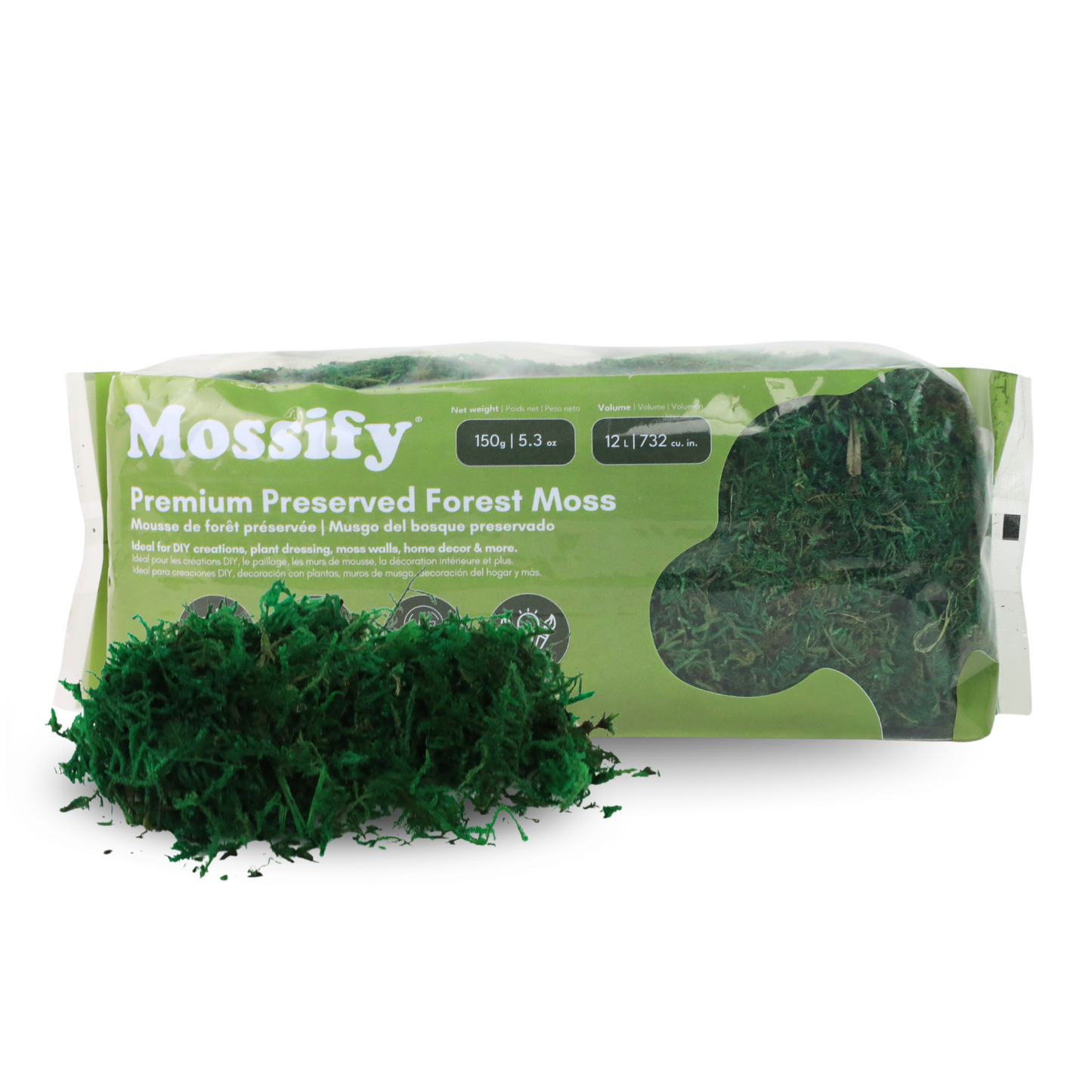 Mousse de forêt stabilisée de première qualité