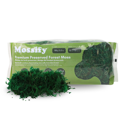 Mousse de forêt stabilisée de première qualité