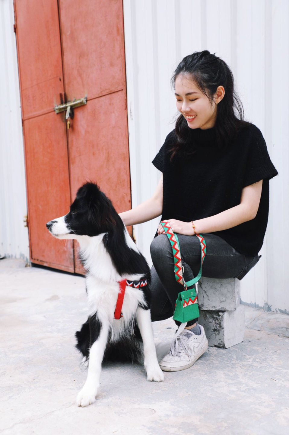 Momopets™ Série Arc-en-ciel – Distributeur de sacs à déjections canines en feutre