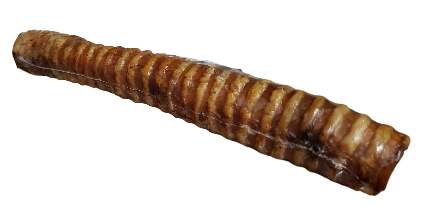Trachée de veau 20-23 cm