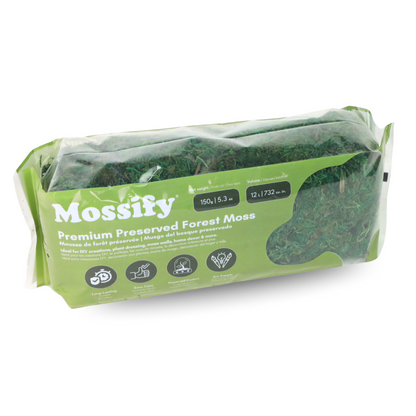 Mousse de forêt stabilisée de première qualité