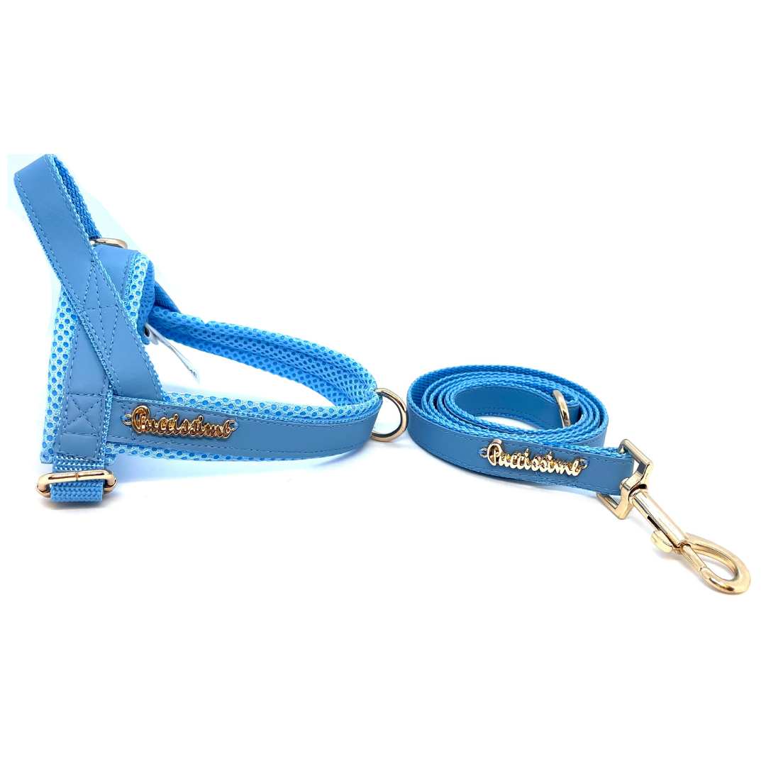 Laisse bleu maya avec extension mains-libres