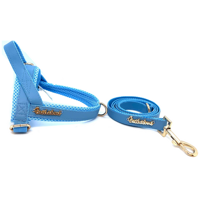 Laisse bleu maya avec extension mains-libres