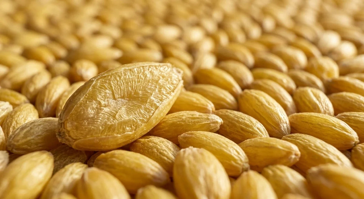Annanda Alpiste® | Food Grade Canary Seed