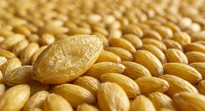 Annanda Alpiste® | Food Grade Canary Seed