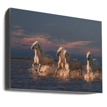 Décoration murale Anges de Camargue. Chevaux