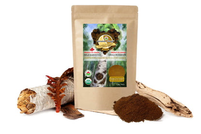 Wild Canadian Chaga Mushroom Powder