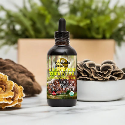 Organic Triple Mushroom Tincture | Chaga, Reishi, Turkey Tail