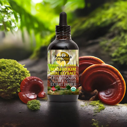 Wild Chaga and Reishi Extract