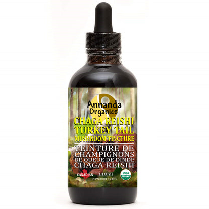 Organic Triple Mushroom Tincture | Chaga, Reishi, Turkey Tail