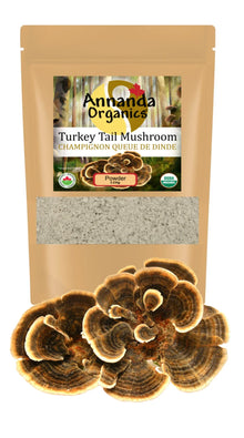 Organic Turkey Tail Mushroom Powder