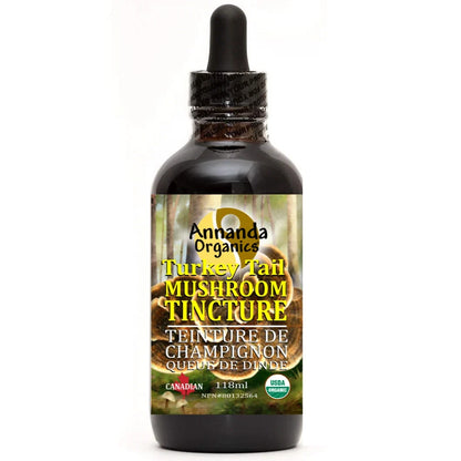 Organic Turkey Tail Tincture