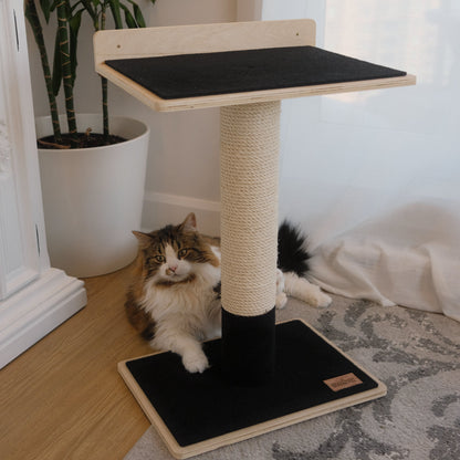 Arbre à chat Noba en contreplaqué moderne à 1 niveau